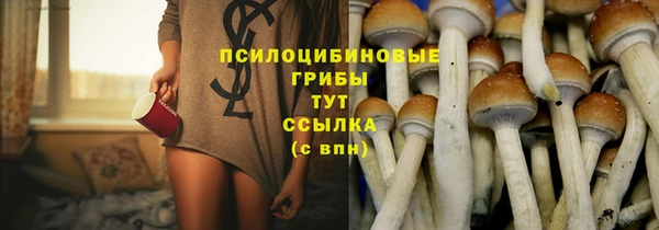 мдпв Горняк