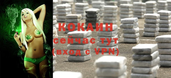 винт Вяземский