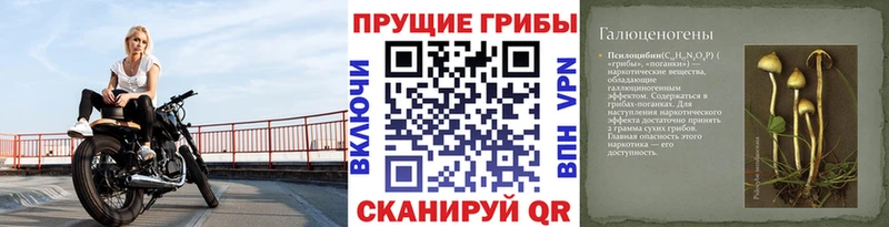 Галлюциногенные грибы GOLDEN TEACHER  дарнет шоп  Зарайск 
